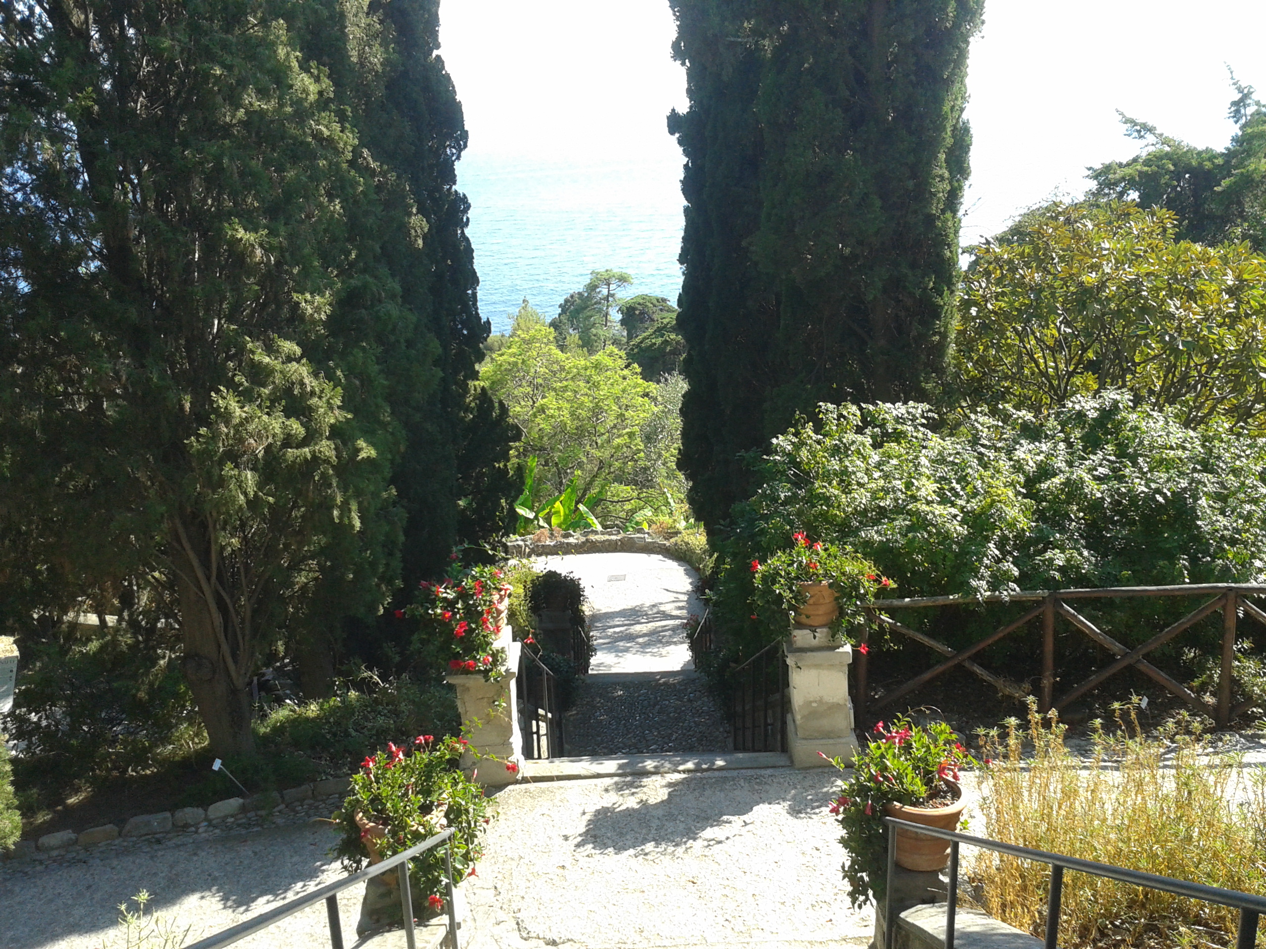 In un libro la meraviglia degli Hanbury di Ventimiglia