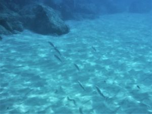 mare Costa Azzurra