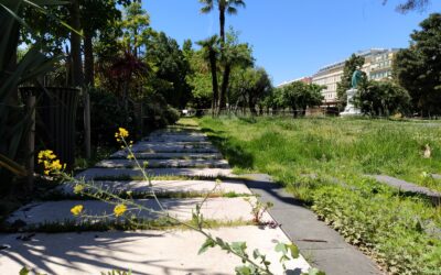 Nizza chiusa per Coronavirus