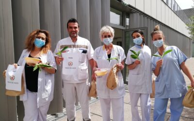 In diretta le decisioni della Mairie de Nice