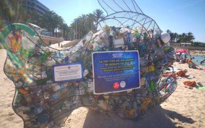Le poisson pédagogique in spiaggia a Cannes