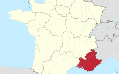Elezioni regionali e dipartimentali in Francia 2021