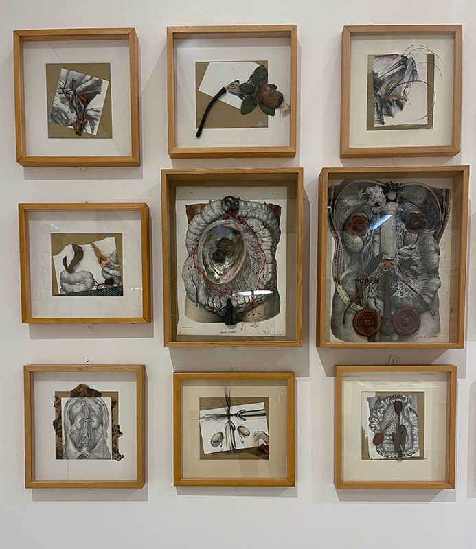 spoerri collezione anatomica