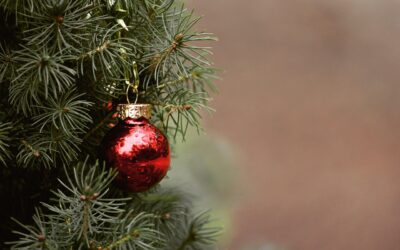 L’albero di Natale dove lo butto?