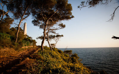 Cap Ferrat – Côte à côte
