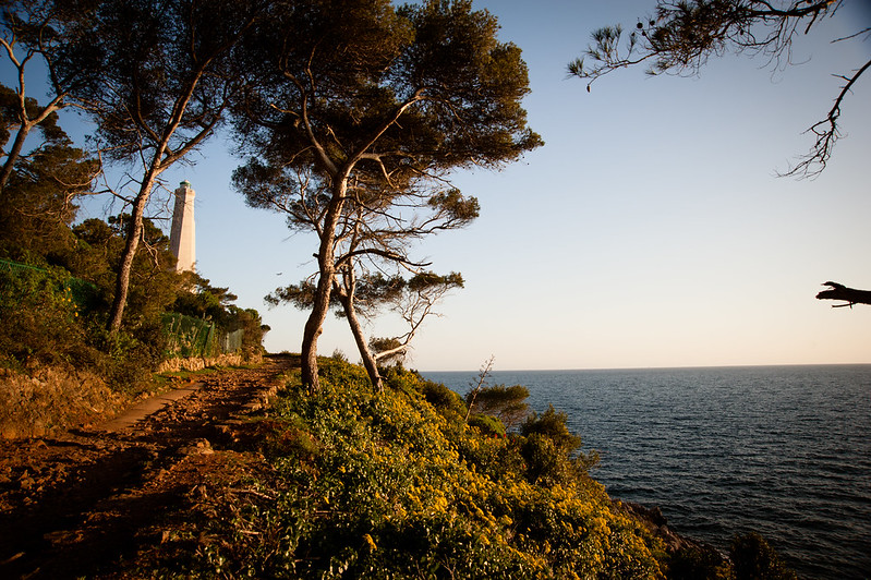 a (2) Cap ferrat faro