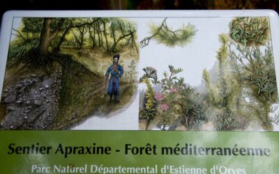 Il parco di Estienne d’Orves – Côte à côte
