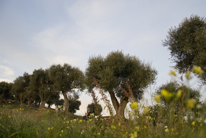 Parco Estienne d'Orves