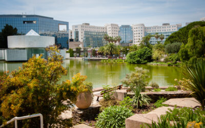 Il Parc Phoenix – Côte à côte