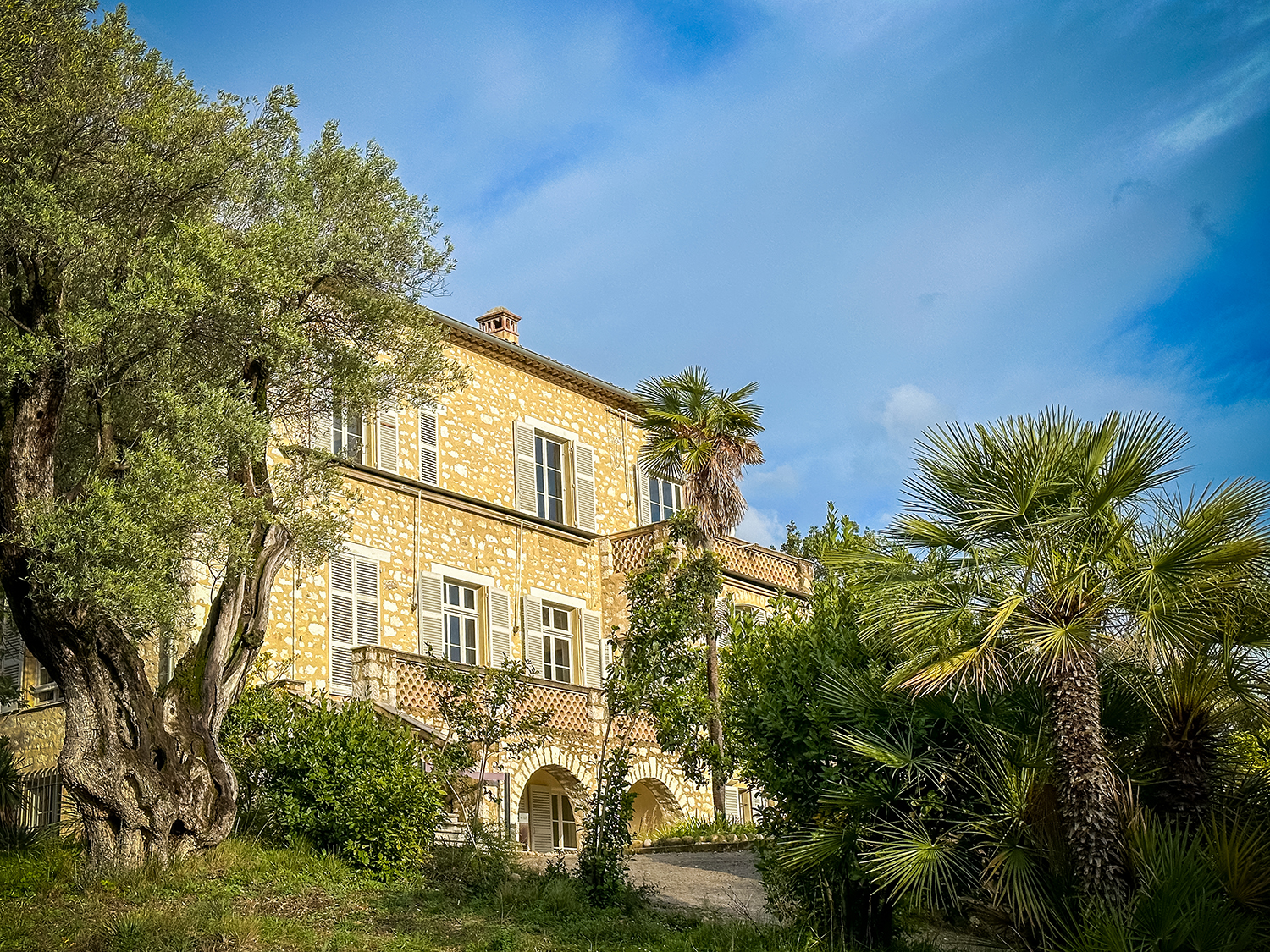 museo Renoir