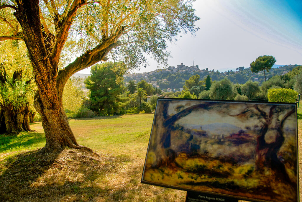 uliveto museo renoir