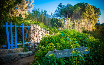 Il sentiero litoraneo di Saint Tropez – Côte à côte