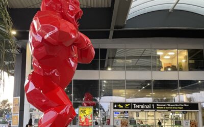Ecco come difendersi dalla nuova tariffa “speciale turisti” in vigore all’aeroporto di Nizza