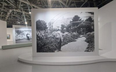 Cento opere di Claude Monet provenienti da tutto il mondo in mostra al Grimaldi Forum