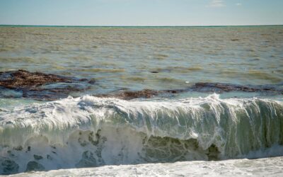 Nizza 24 – Notizie dalla Costa Azzurra EDIZIONE STRAORDINARIA – Allerta mareggiate 3 agosto