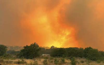 Nizza 24 Notizie dalla Costa Azzurra Mercoledì 16 agosto: Incendi, case evacuate e 500 ettari in fumo – Francia Terza al mondo per numero di milionari