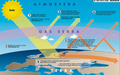 Nizza24 Notizie dalla Costa Azzurra Mercoledì 4 ottobre 2023: Emissioni gas serra in diminuzione – Arrivano le cimici dei letti