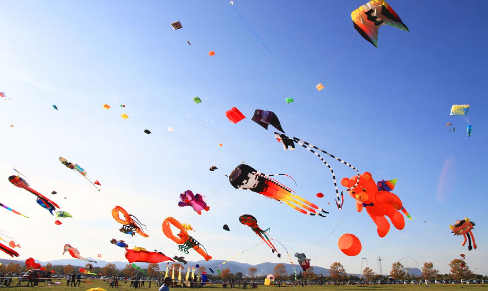 a (2) Festival de l'air fréjus