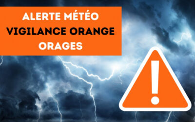 Nizza24 Martedì 24 Ottobre 2023: Allerta meteo, parchi, giardini e discariche chiusi – Il sindaco Estrosi minacciato dai manifestanti “pro palestinesi”