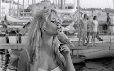 Nizza24 venerdì 12 gennaio: Brigitte Bardot a difesa di Delon – Si schianta elicottero – Ancora e sempre scioperi