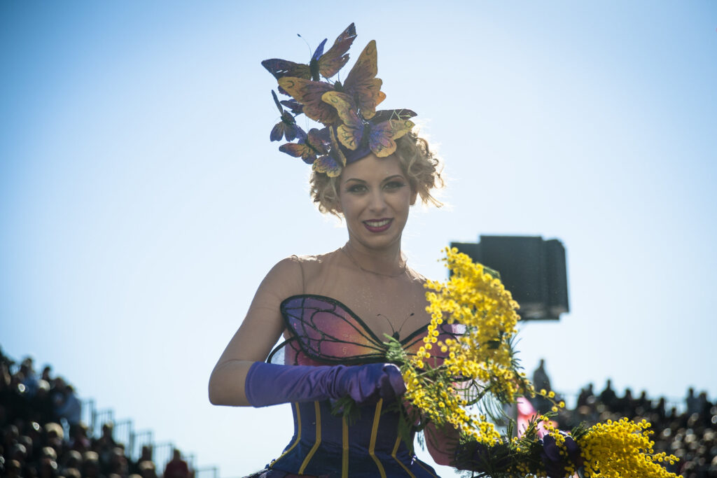 Fête du Mimosa