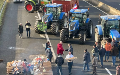 Nizza24 giovedì 1 febbraio 2024: Pedaggi autostradali aumentati – Agricoltori bloccano la Promenade des Anglais – Preparativi per il Carnevale