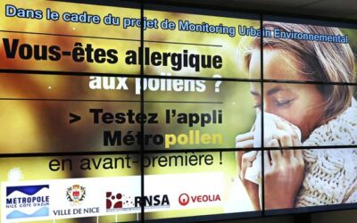 Nizza24 giovedì 15 febbraio 2024: Allerta pollini – Niente più matrimoni al comune di Nizza – Scioperi SNCF