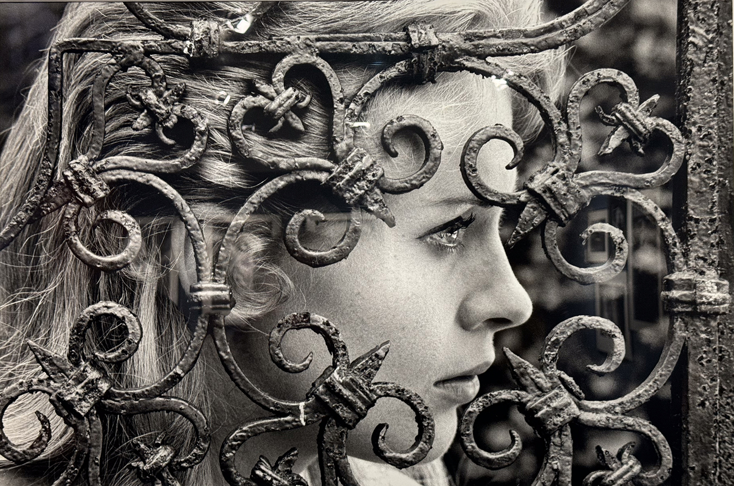 Henri dauman