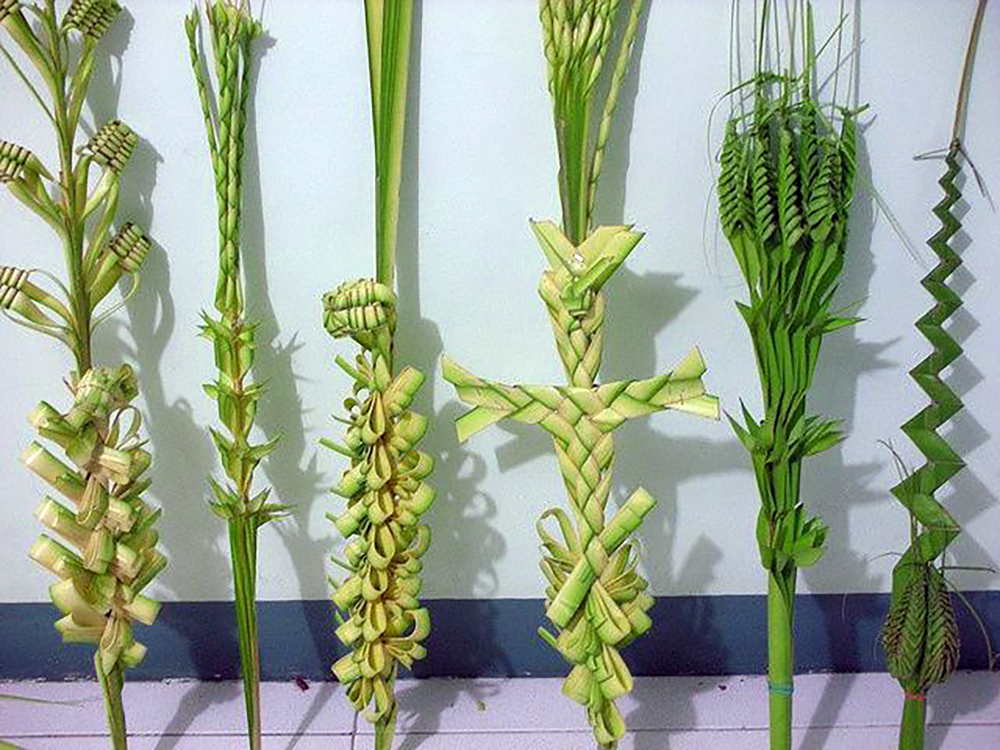 Domenica delle Palme