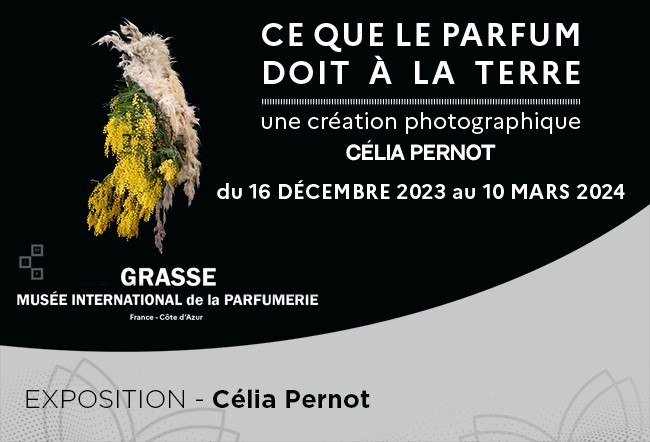 mostre dal 4 al 10 marzo