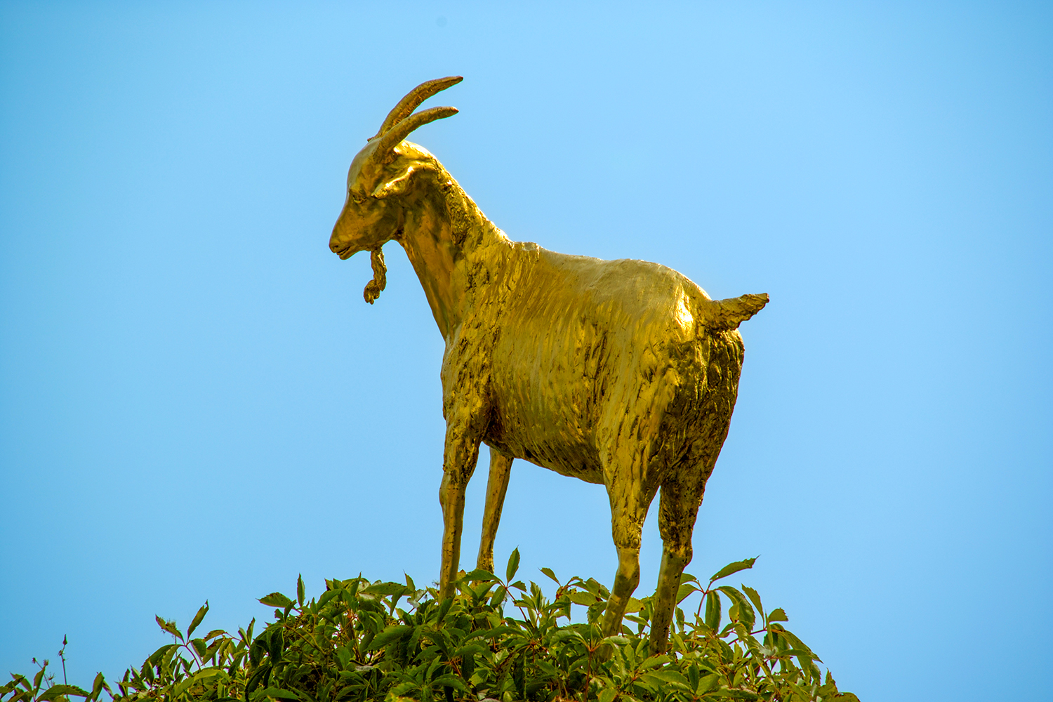 Il mito provenzale della Chèvre d’or – Côte à côte