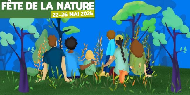 feste dal 23 al 26 maggio