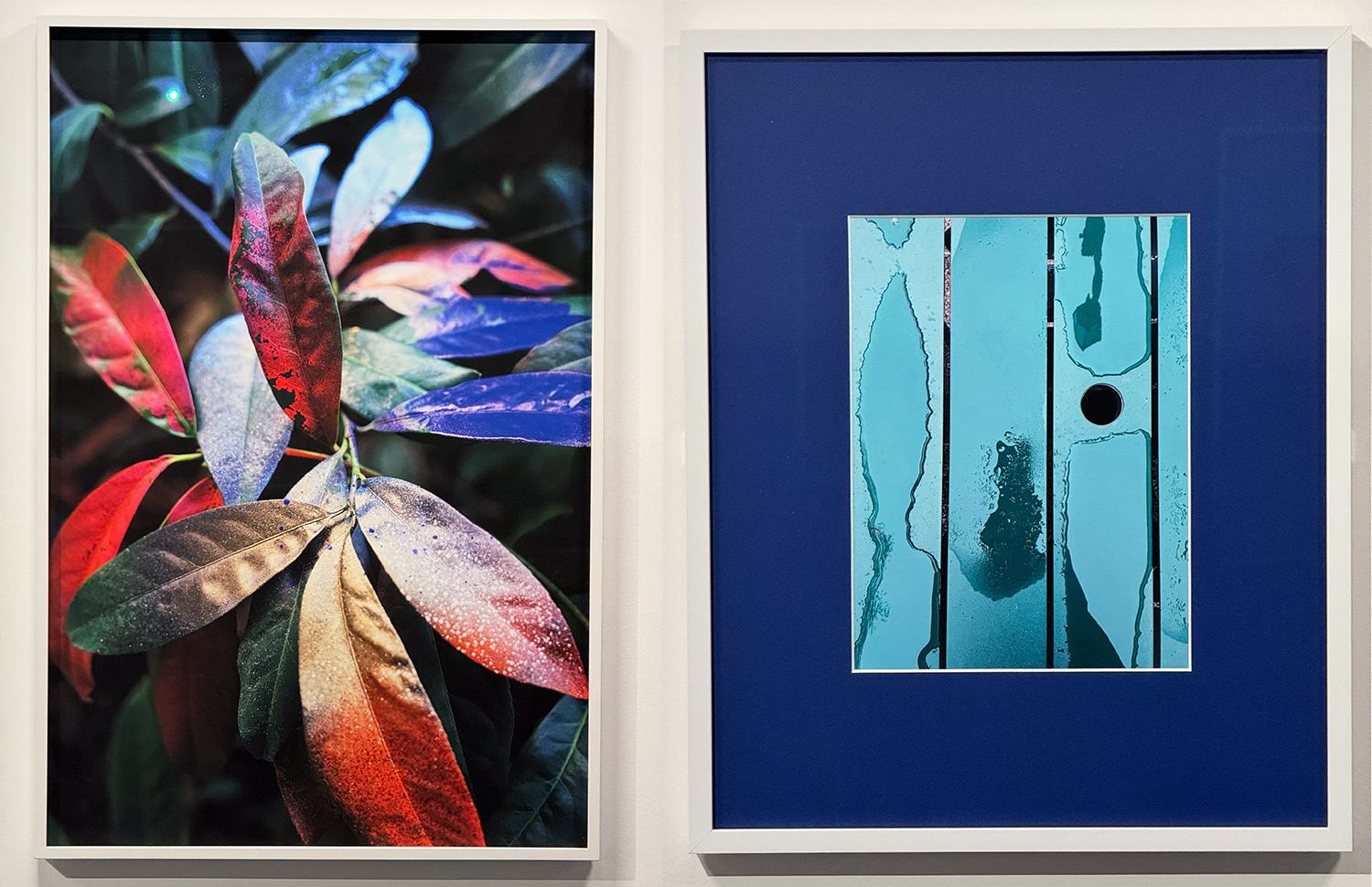 Jessica Backhaus