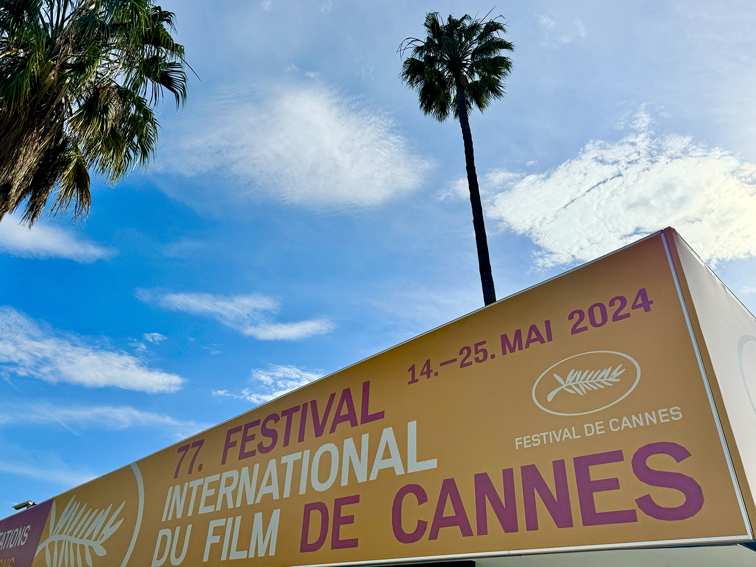 Agenda: Speciale Festival del Cinema di Cannes