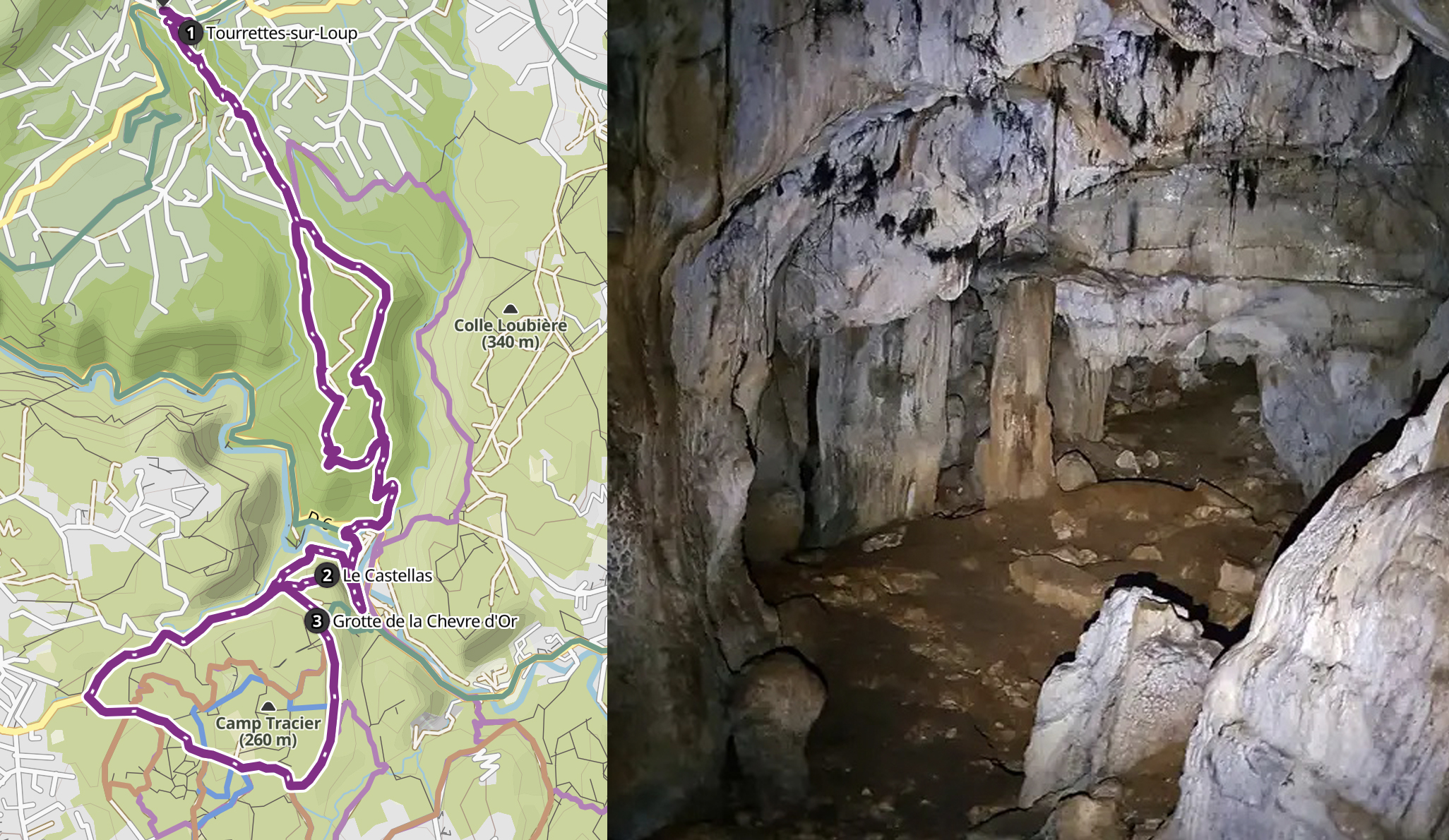 chèvre d'or