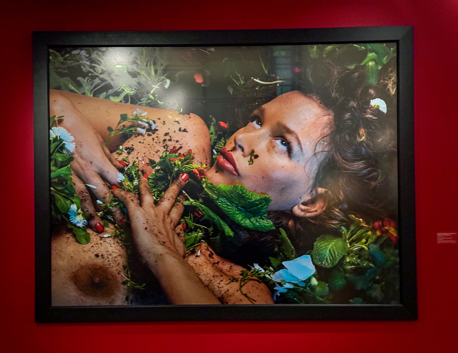 Bettina Rheims