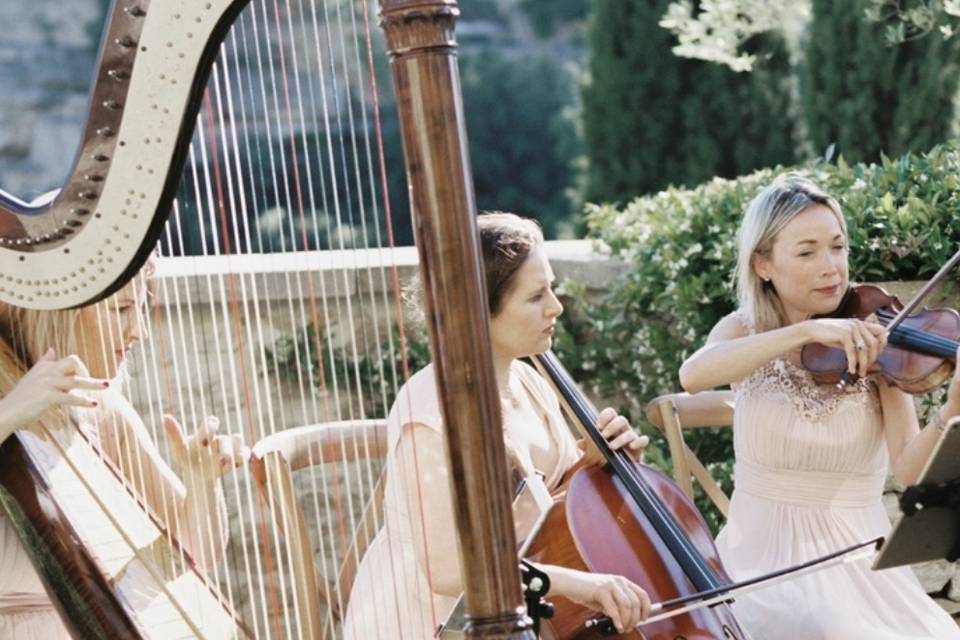 concerti dal 23 al 28 luglio