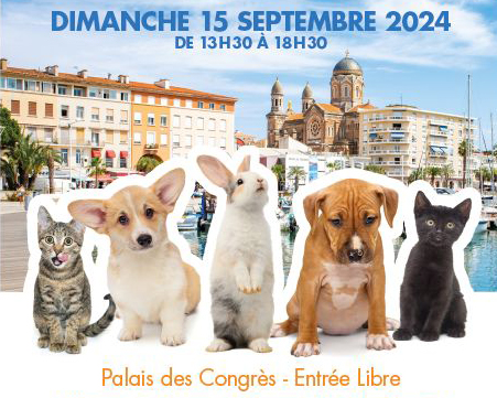 saloni dal 10 al 15 settembre