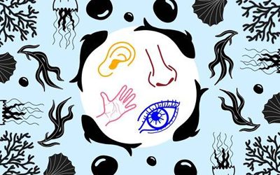 Agenda: i festival e le rassegne dal 10 al 13 ottobre in Costa Azzurra