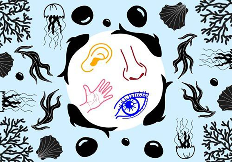 a (2) i festival e le rassegne dal 10 al 13 ottobre