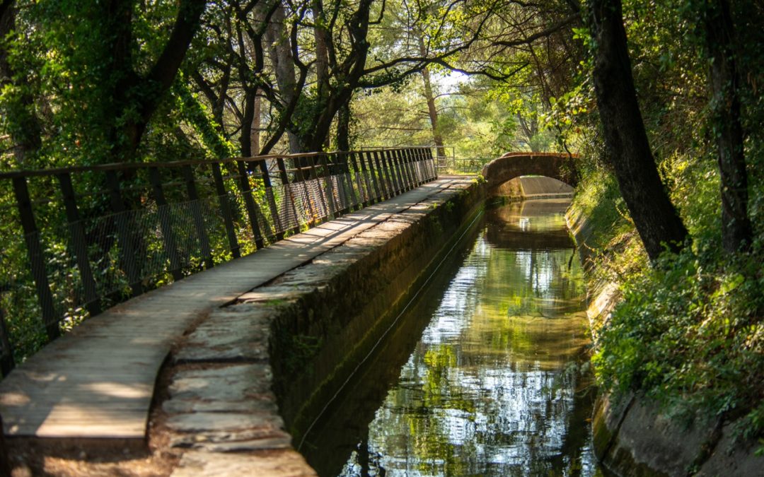 Il Canale della Siagne, una passeggiata tra storia e natura – Côte à côte