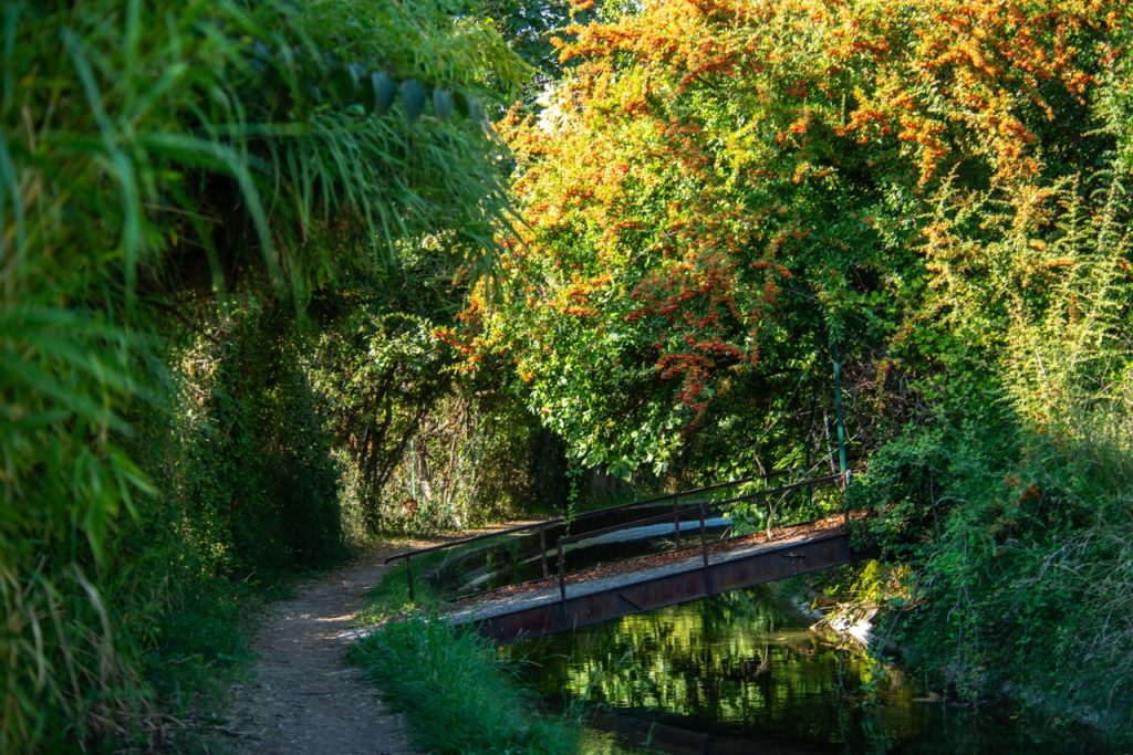 canale della Siagne