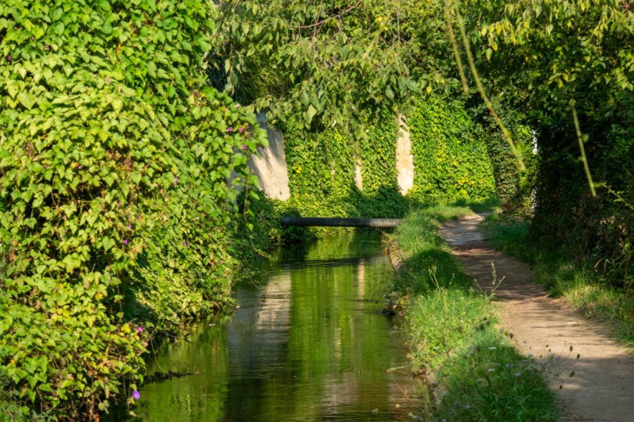 canale della Siagne