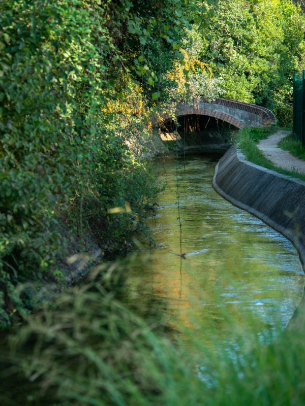 canale della Siagne