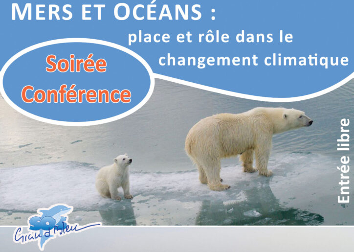 conferenze dal 19 al 24 novembre