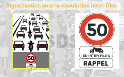 Nizza24 Riviera News: Rate increases and new regulations for 2025, all the details – Bayrou visits Mayotte but sleeps in La Réunion – Charred body found in Cannes