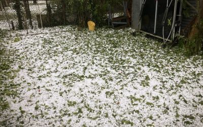 Outside Source: :In immaginiAlluvione di grandine, strade allagate, trasporti paralizzati… Il sud-ovest della Francia colpito da violenti temporali
