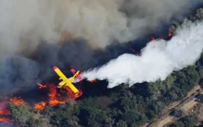 Incendi, Francia non pronta – Altre gravissime accuse contro l’Abbé Pierre – Nvidia Vola in Borsa – USA: Indagine su Ex Capi CIA e FBI