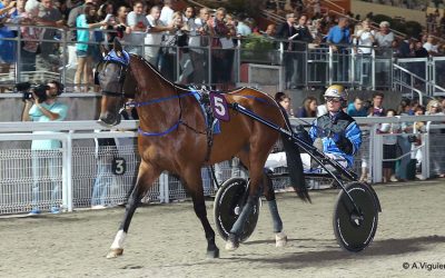 Nizza24 Week-End: Météo Costa Azzurra – Pochi Dermatologi nelle Alpi Marittime – Rapaci a Vence – Trotto a Cagnes
