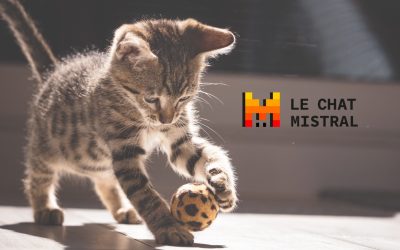 Francia24: ASML primo azionista dell’unica IA europea, Mistral – Ultimo giorno del governo Bayrou ? – Ingerenze straniere il 10 settembre